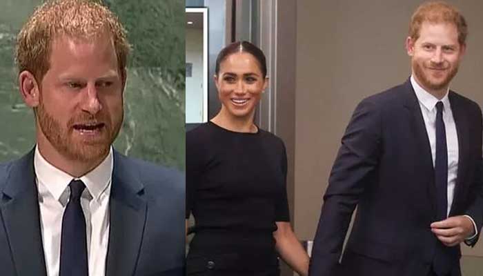 Prince Harry sparks anger with his UN speech