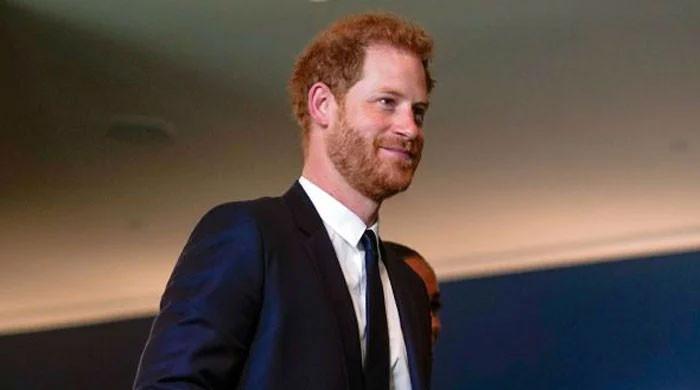 Prince Harry asked to 'give up title' to become 'political activist ...