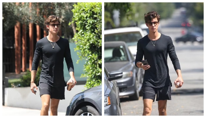 Shawn Mendes cuts dapper figure in all-black outfit as he grabs coffee in LA