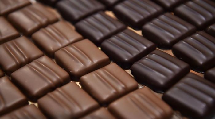 cocoa-reduces-and-controls-abnormally-high-blood-pressure-study-reveals