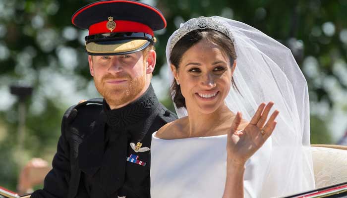 Meghan Markle married Prince Harry to get 'spotlight and title'
