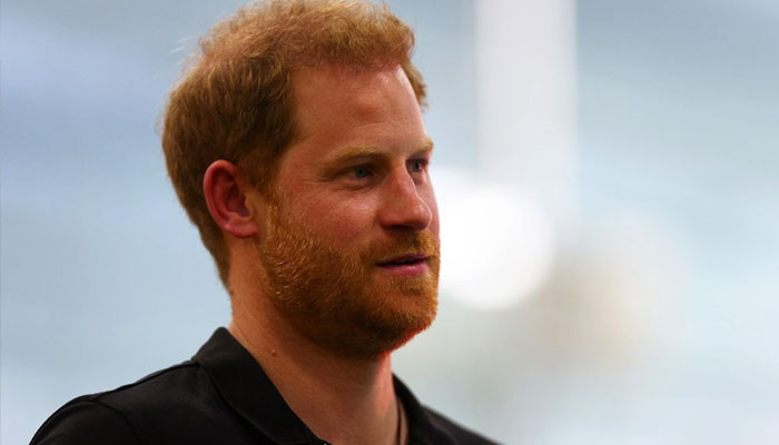 prince harry memoir