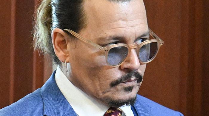 Johnny Depp might go to jail for stealing?