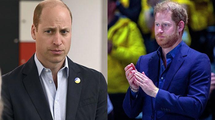 Prince William Copies Prince Harry With Upcoming Speech At UN Assembly