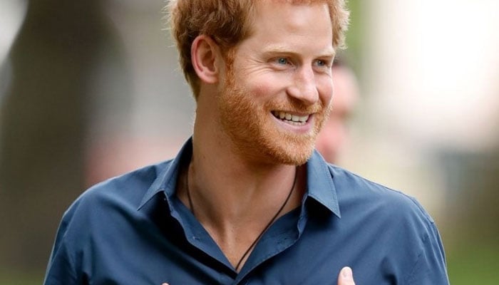 Prince Harry blasted for security demands: ‘Want commercial ventures’