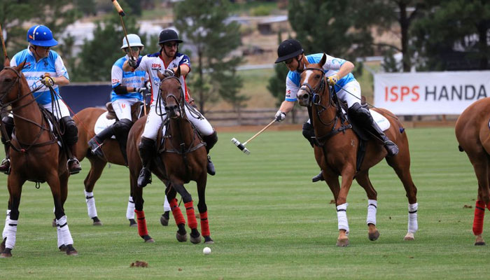 Prince Harry honours late fellow polo player Chevy Beh