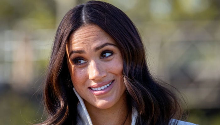 Meghan Markle cast as 'the bad guy' by royals because she's 'self