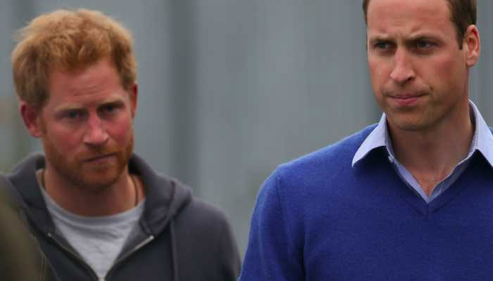 Prince Harry, William branded David and Goliath: ‘Rebels!’