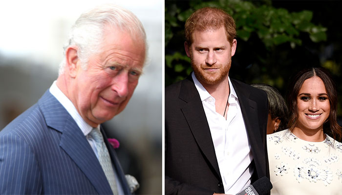 Prince Harry, Meghan Markle ‘severely damaging’ Prince Charles