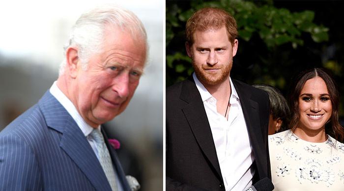 Prince Harry, Meghan Markle ‘severely damaging’ Prince Charles