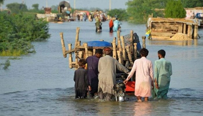 سیلاب سے ہلاکتوں کی تعداد 1,186 تک پہنچ گئی: NDMA