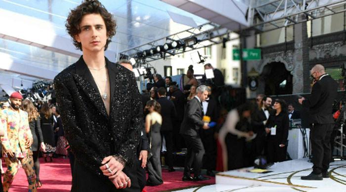 Nouvel Heritage - Timothée Chalamet attended a movie premiere last