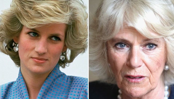 Camilla Parker 'shocking' words when Princess Diana asked for her ...