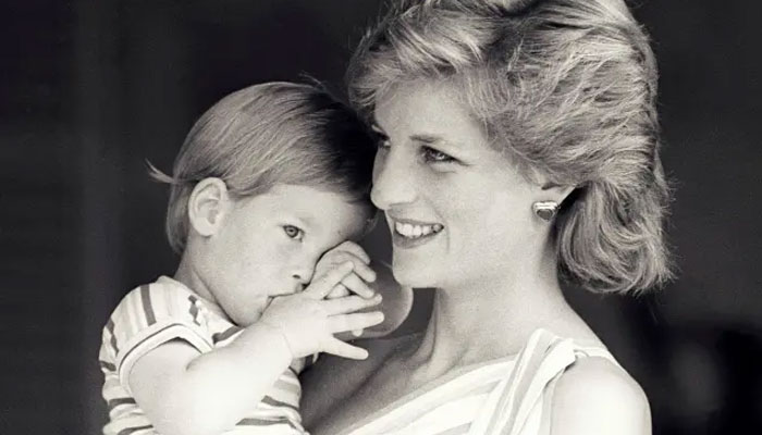 Princess Diana’s death ‘not a real accident’: ‘Black saloon blocked her car!’