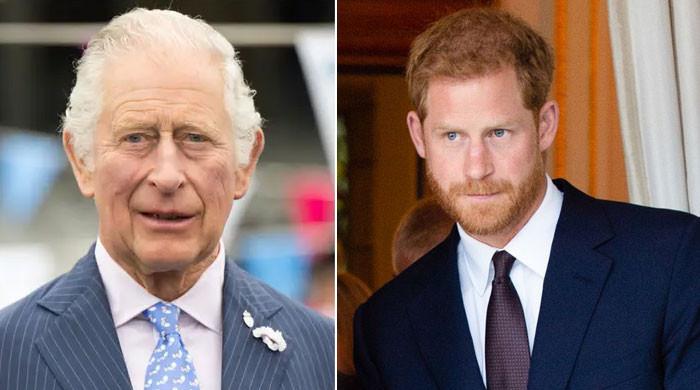 Prince Harry ‘lamenting’ on Queen Elizabeth death: ‘Hurting Netflix ...