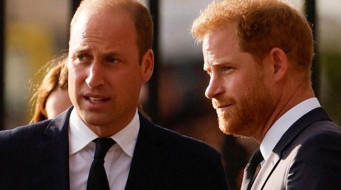‘regal Prince William Refuses To Engage In Prince Harrys Tit For Tat 