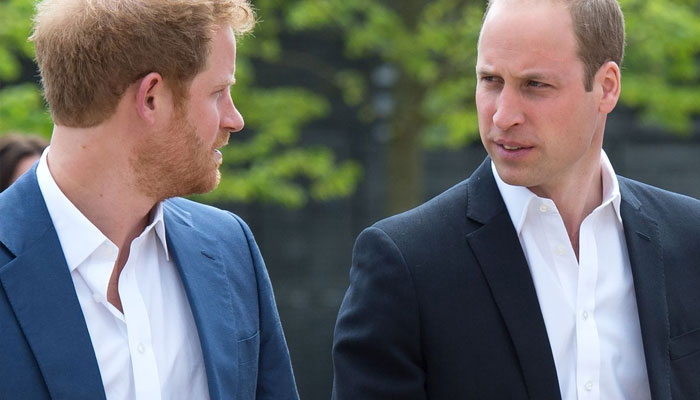 Prince Harry, William to walk ‘side by side’ in Queen’s funeral?