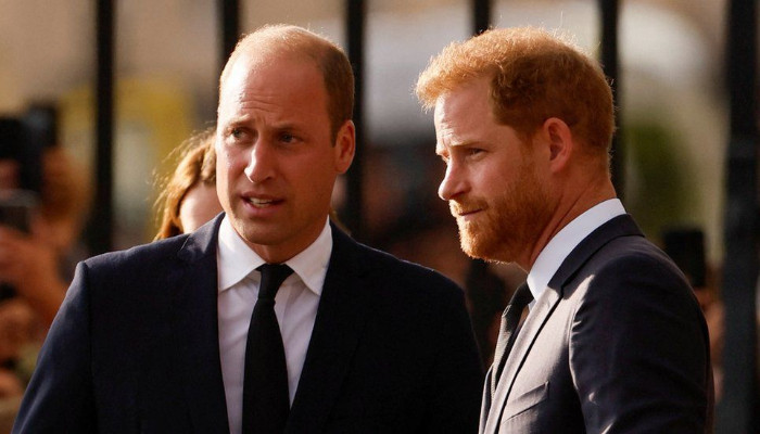 Prince Harry, William feud: ‘Seeds of reconciliation’ planted on Queen ...