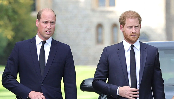 King Charles’ wish to bring Harry ‘back into the fold’ not cherished by William, expert