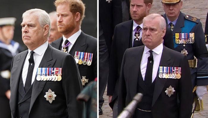 Prince Andrew exaggerated sorrow, wanted to show world he is affected