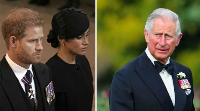 Prince Harry, Meghan Markle’s Netlfix plans ‘risking’ King Charles’ reign