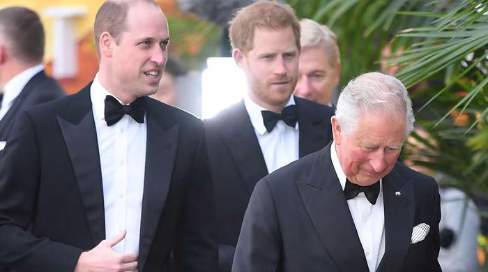 King Charles makes Prince William ‘furious’ with olive branch to Harry?