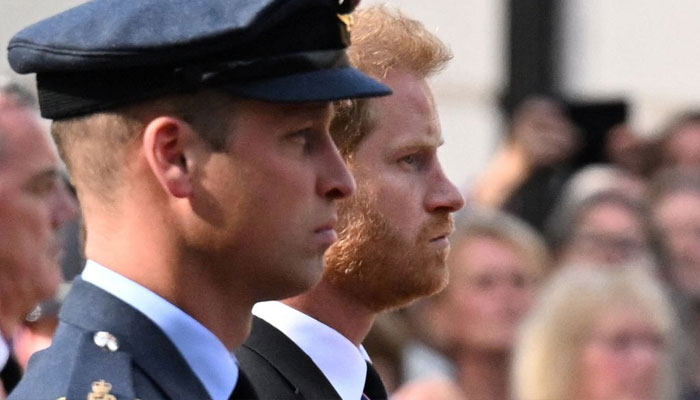 Prince Harry, William ‘shocked’ aides with surprise ‘pricks’