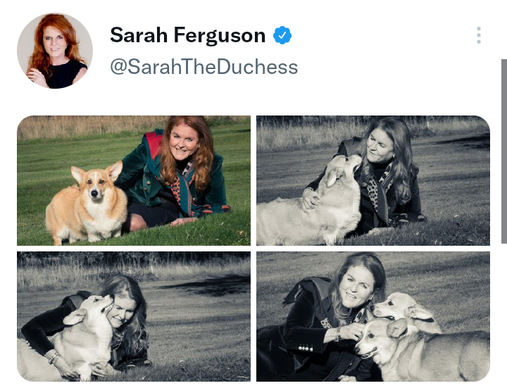 Sarah Ferguson shares update on Queen Elizabeth's corgis, says