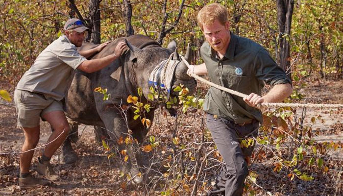 Prince Harry life-threatening experience of being dragged by rhino