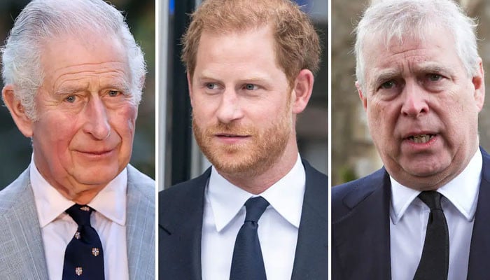 Prince Harry ‘more of problem’ than Prince Andrew for King Charles ...