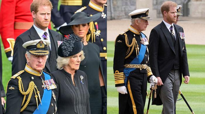 King Charles, Camilla and Prince Harry’s top secret meeting details ...