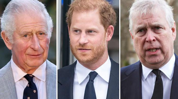 Prince Harry ‘more of problem’ than Prince Andrew for King Charles ...