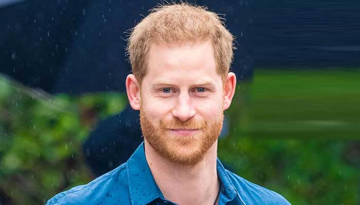 Prince Harry setting himself up to be thought leader