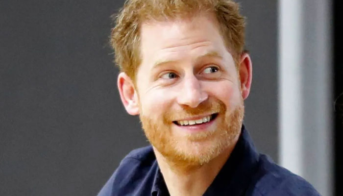 Prince Harry to revisit Diana’s death in memoir?