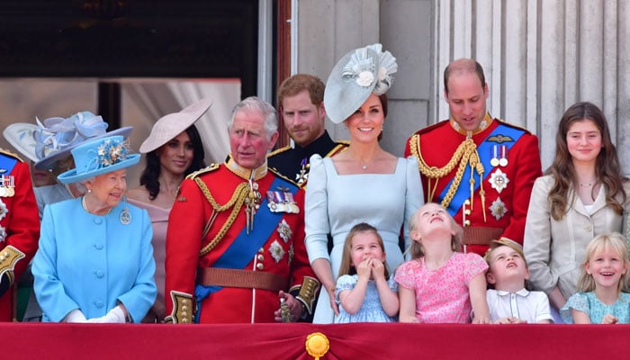 Royal Familys causes on stake amid UK financial recovery plan