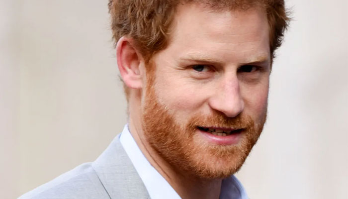 Prince Harry’s ability to ‘manipulate’ the Firm hailed: ‘Master of persuasion’