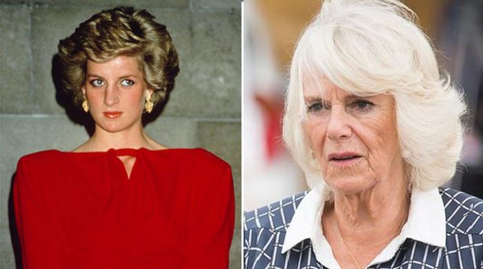 Camilla ‘owes should thank’ Princess Diana: ‘It's her struggle’
