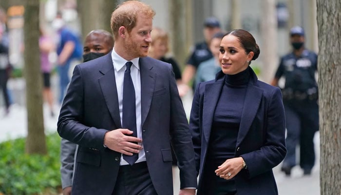 Prince Harry, Meghan Markle getting too big for their ambitions