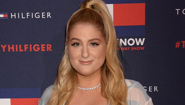 Meghan Trainor says success of 'Made You Look' is 'more than' she 'can ever  ask for