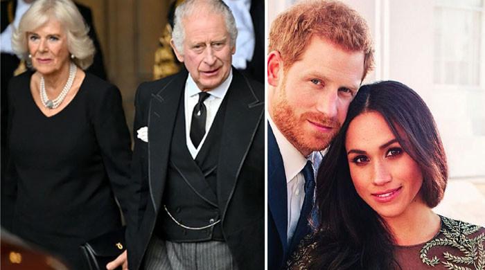 Will Netflix have the Royal Family on the docuseries?