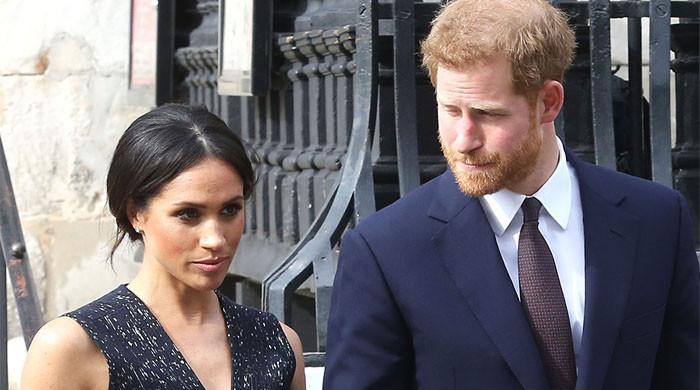 Meghan Markle Prince Harry Ditched By Top Archewell Boss