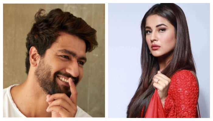 Originally Bana Sharabi features Vicky Kaushal and Kiara Advani