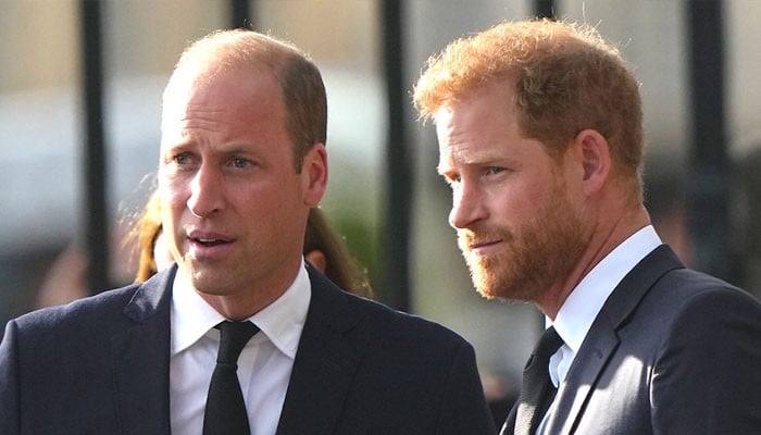 Prince William Has Had 'devastating' Three Years Since Prince Harry's 