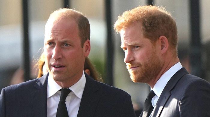 Prince William has had 'devastating' three years since Prince Harry's ...