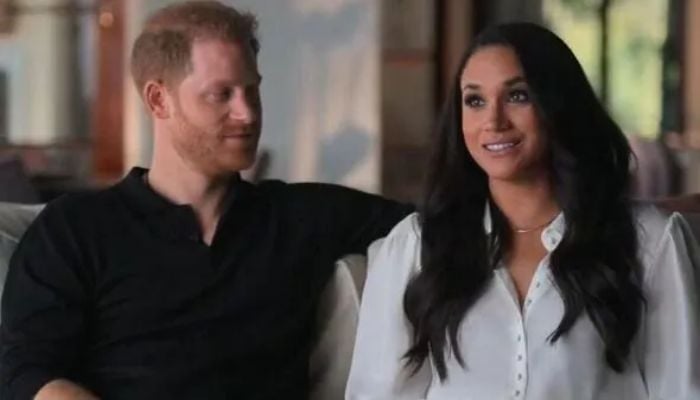 Meghan and Harry put royal family security at risk says ex-security head