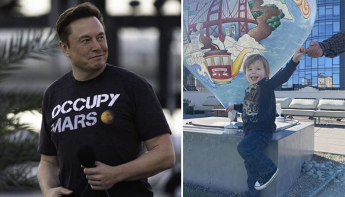 Elon Musk shares son X AE A-Xii Twitter badge in rare pictures