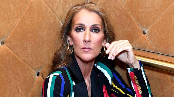 Brayden newby discount céline dion