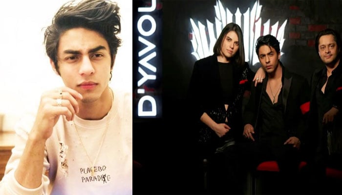 Aryan Khan has recently completed his debut script for Red Chillies Entertainment