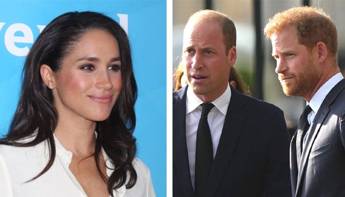 Prince Harry Claims Meghan Markle Was ‘better Royal’ Than Prince William