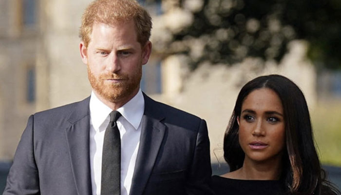 Prince Harry, Meghan Markle Netflix series whole point is money